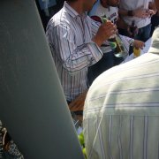 Sommerfest (09.08.08)