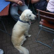 Sommerfest (09.08.08)