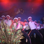 Gloria-Sitzung (06.02.09)