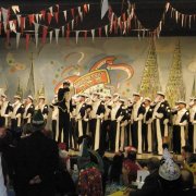 Rosenmontags-Tribüne (25.02.09)