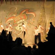 Rosenmontags-Tribüne (25.02.09)