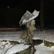 Stadtgarde Frechen (13.01.10)