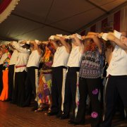 Flägelskappe Sürth (28.01.10)