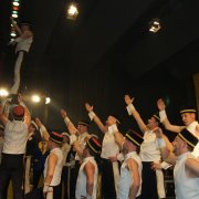 Dhünsche Jecken (30.01.10)