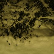 Dhünsche Jecken (30.01.10)