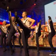 Prinzengarde (13.01.15)