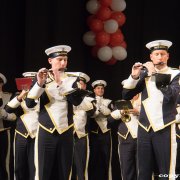 Prinzengarde Hürth (15.01.15)