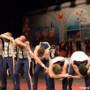 Prinzengarde Hürth (15.01.15)