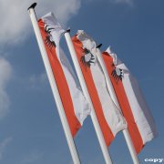 Drachenbootrennen (14.06.15)