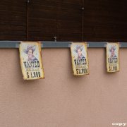 Sommerfest (08.08.15)