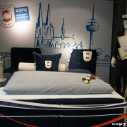 Präsentation StattGarde-Bett (08.11.15)