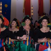 Prinzengarde (13.01.16)